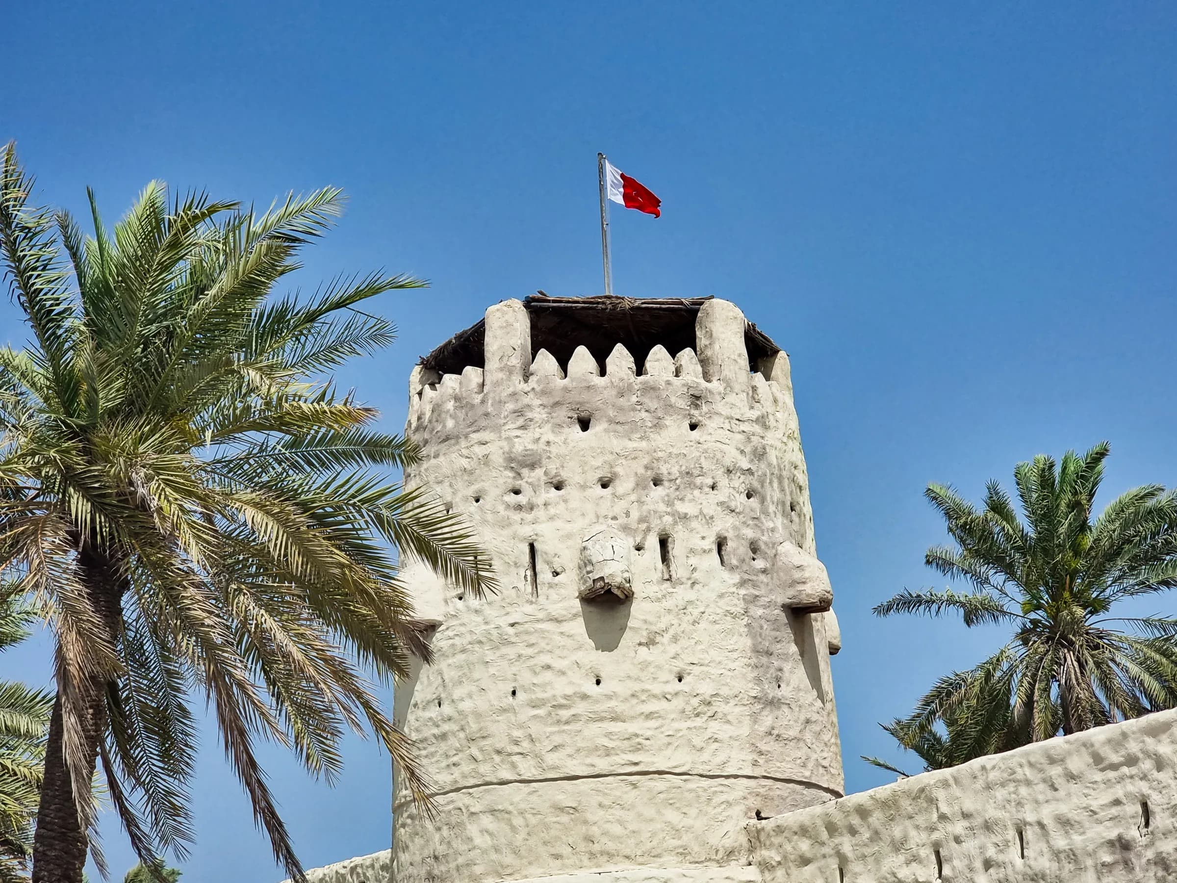 Umm Al Quwain Fort tower framed by palm trees