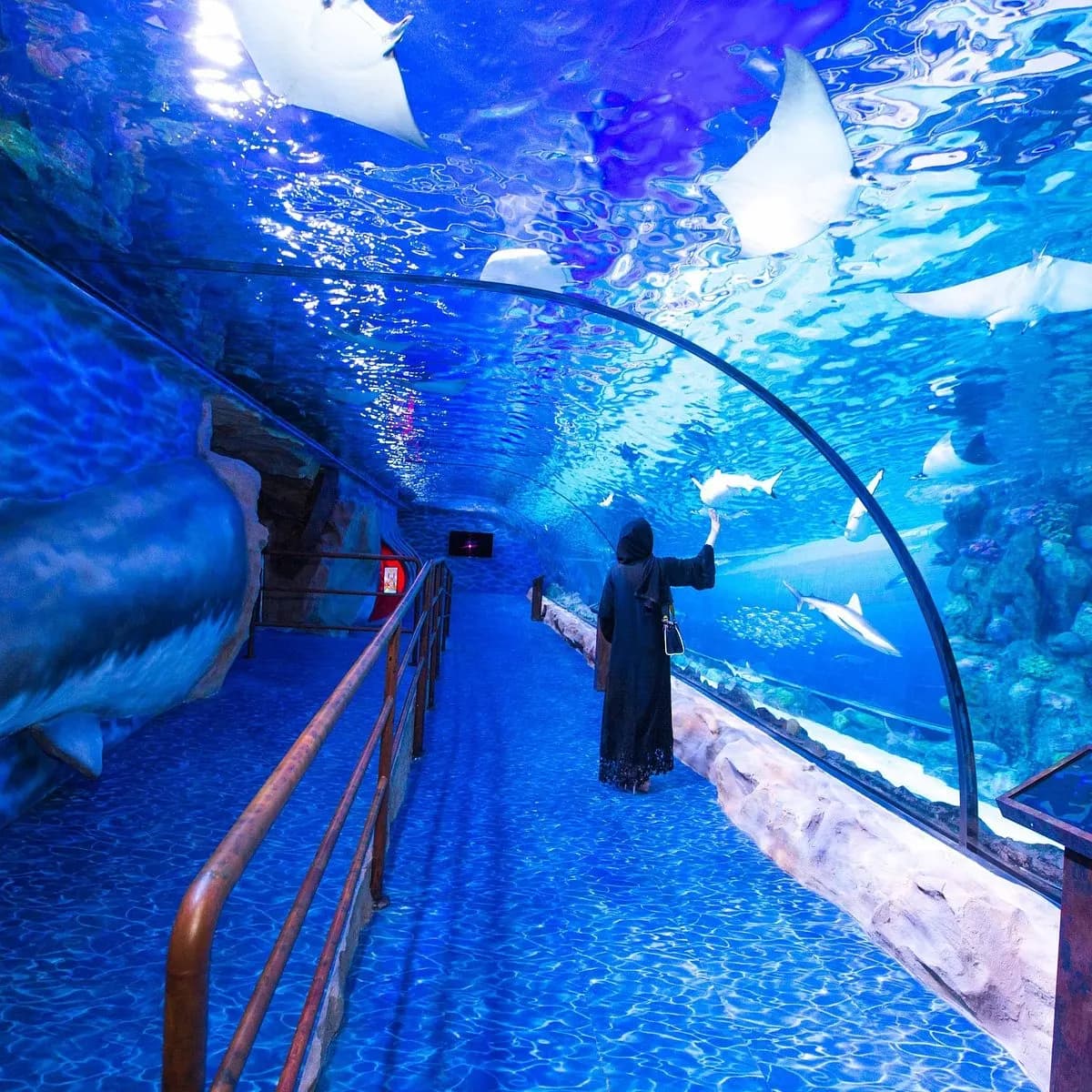 Dubai Aquarium & Underwater Zoo, Dubai, Dubai
