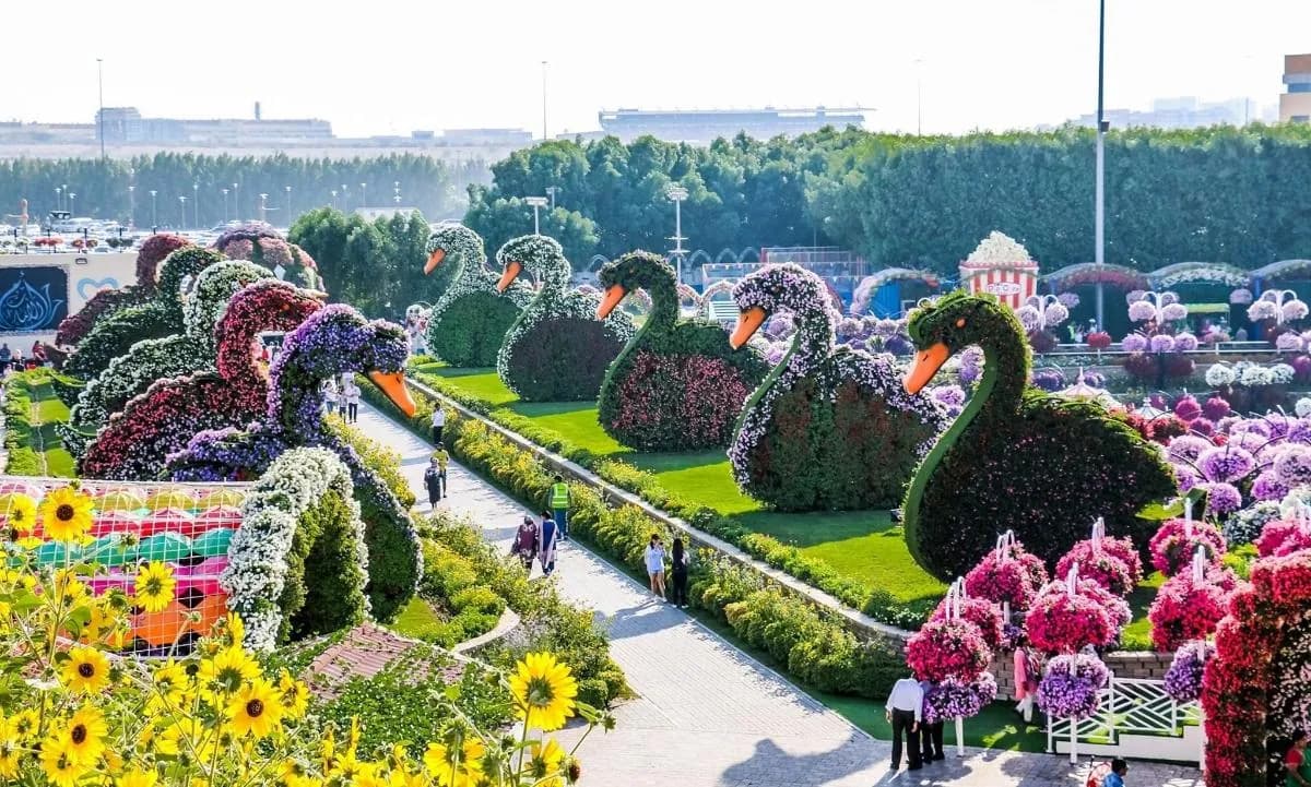 Miracle Garden, dubai