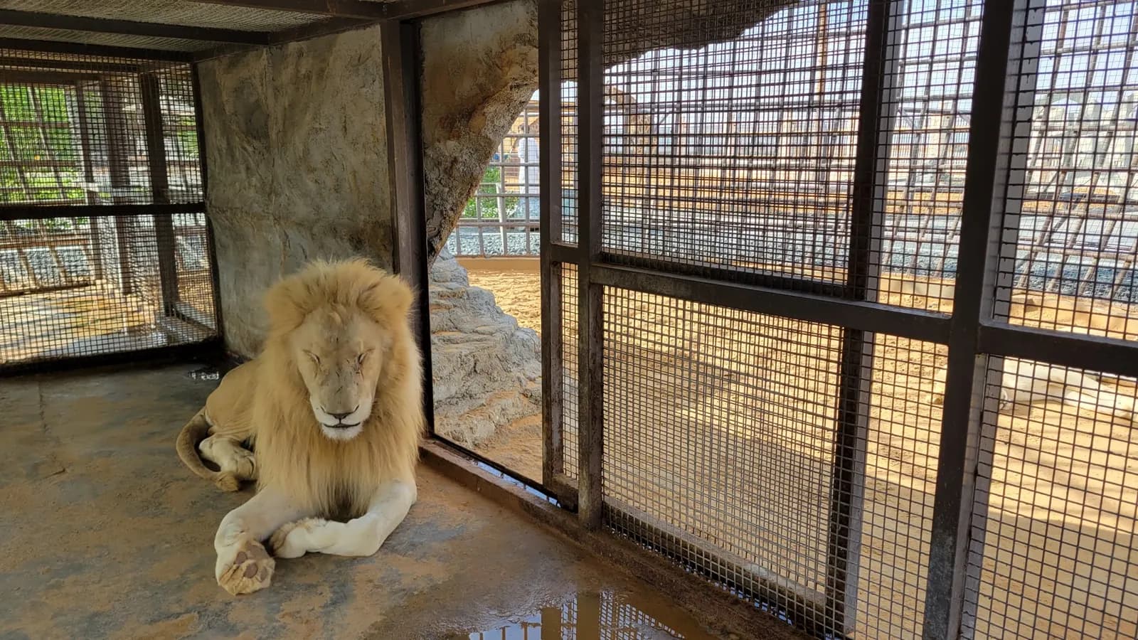 Umm al Quwain Zoo, Umm Al Quwain