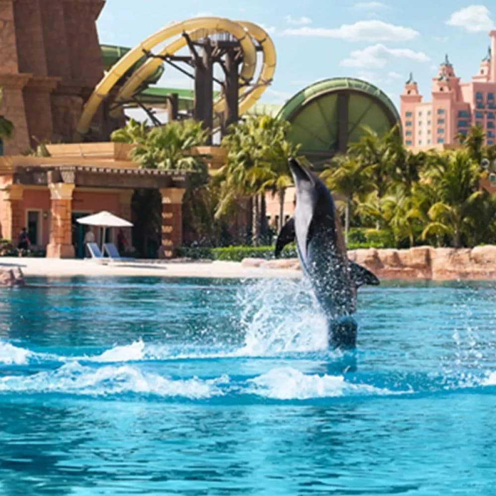 Dolphin Bay, Atlantis Dubai, Dubai
