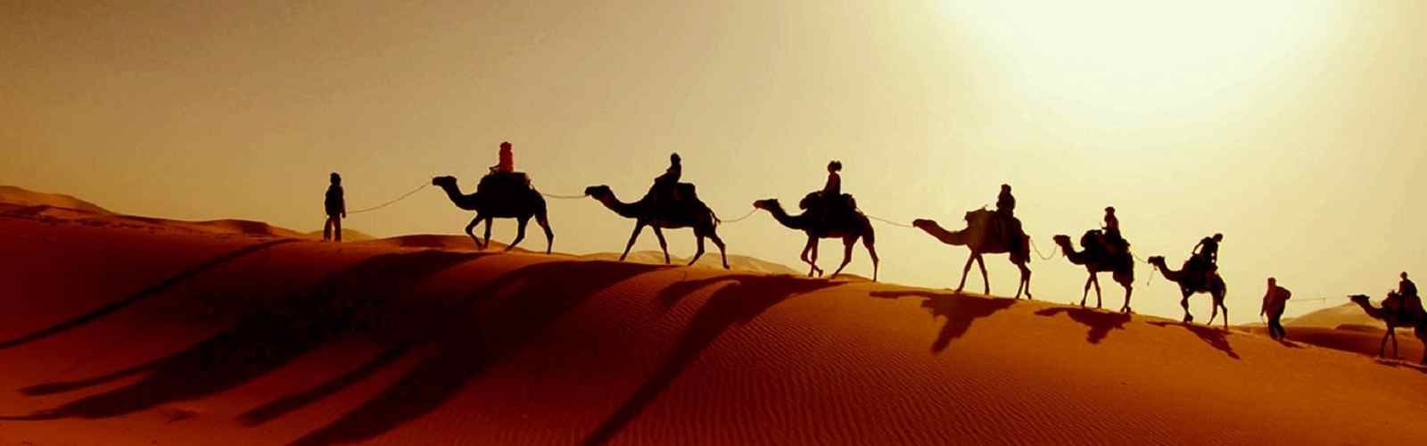 desert safari camel ride