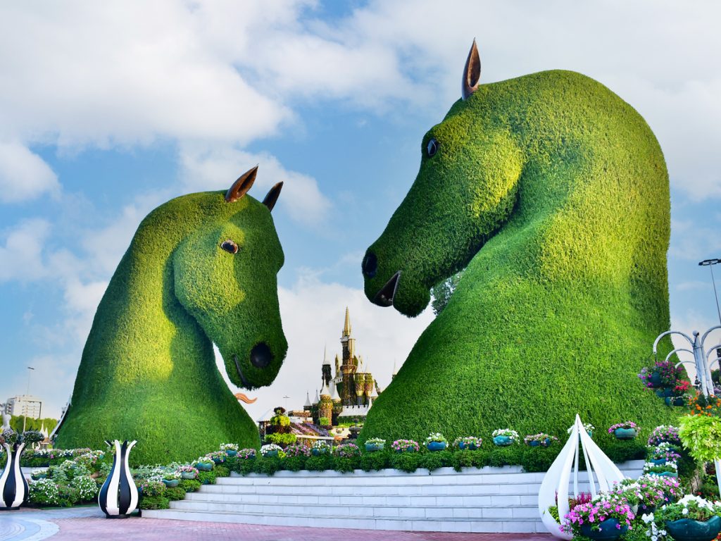 dubai-miracle-garden-6-1024×768