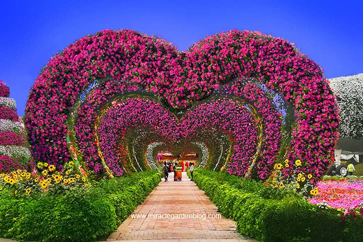 miracle garden (2)