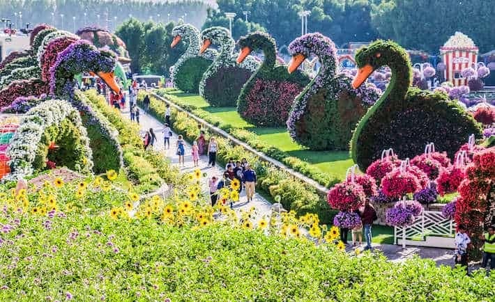 miracle garden dubai