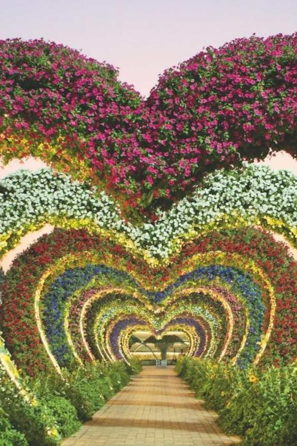 miracle garden timings