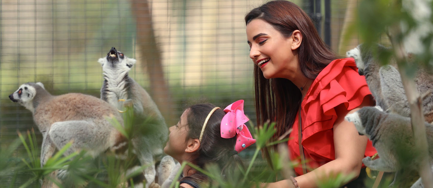Al Ain Zoo (4)