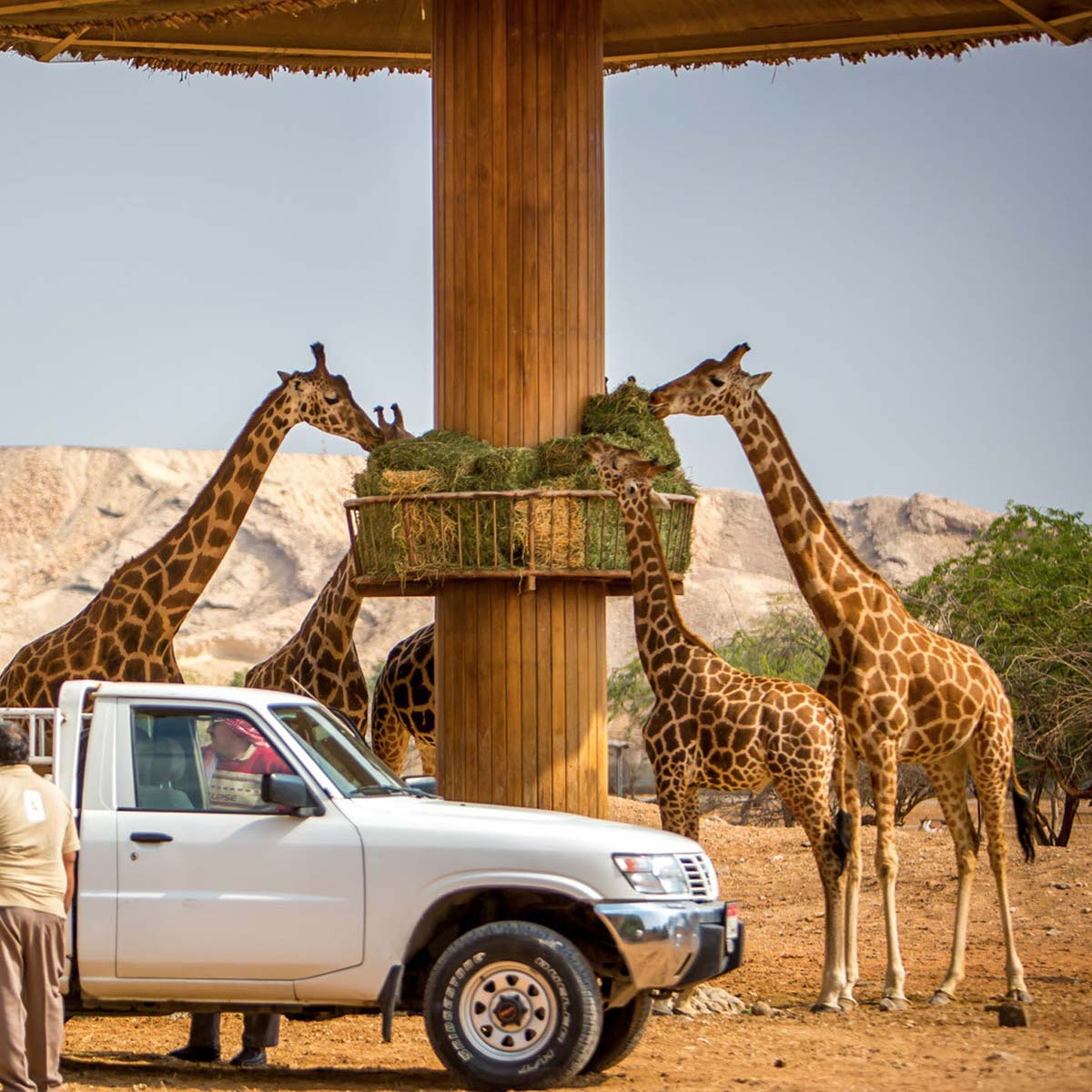 Al Ain Zoo price