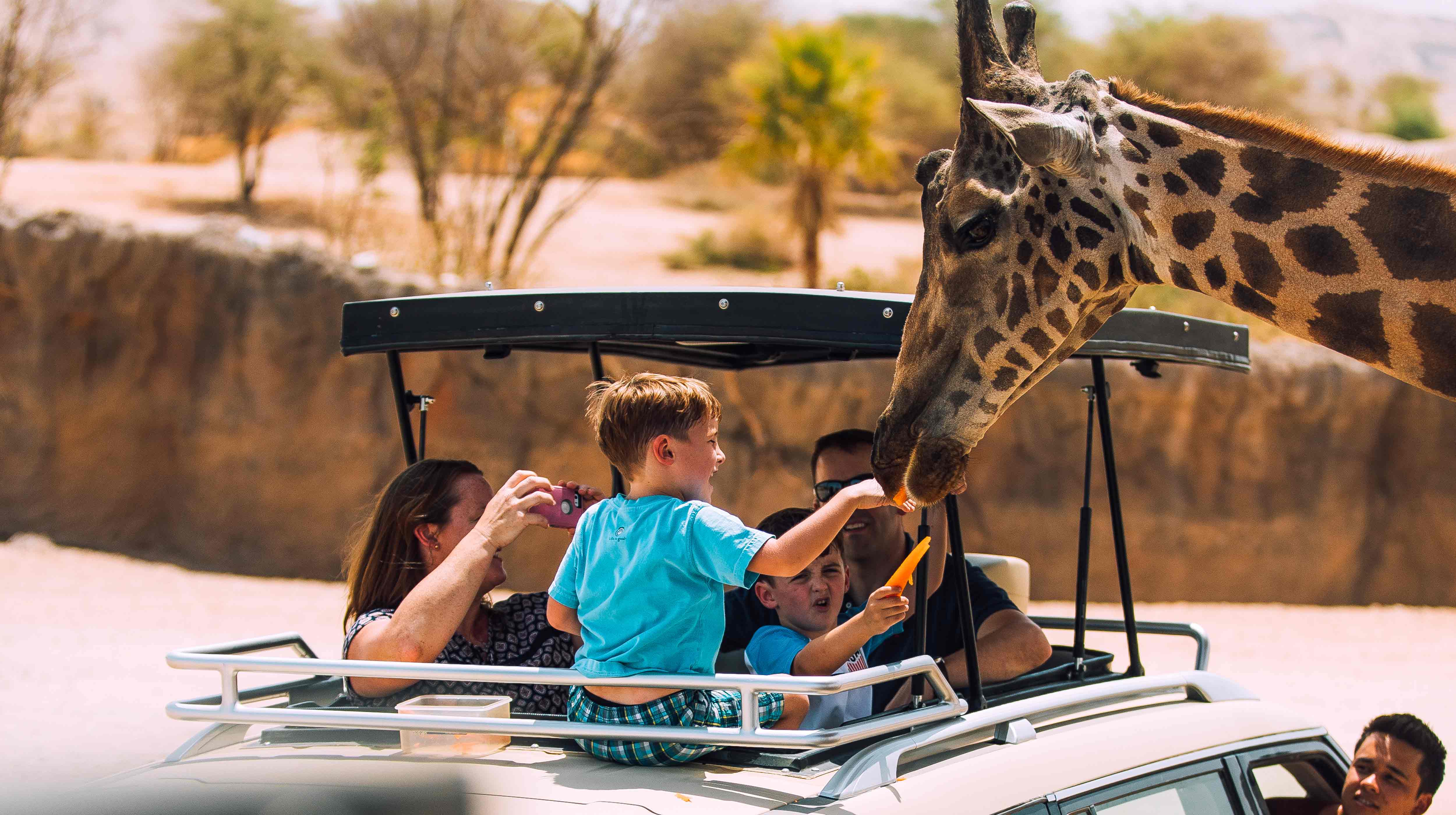 Al Ain Zoo timing