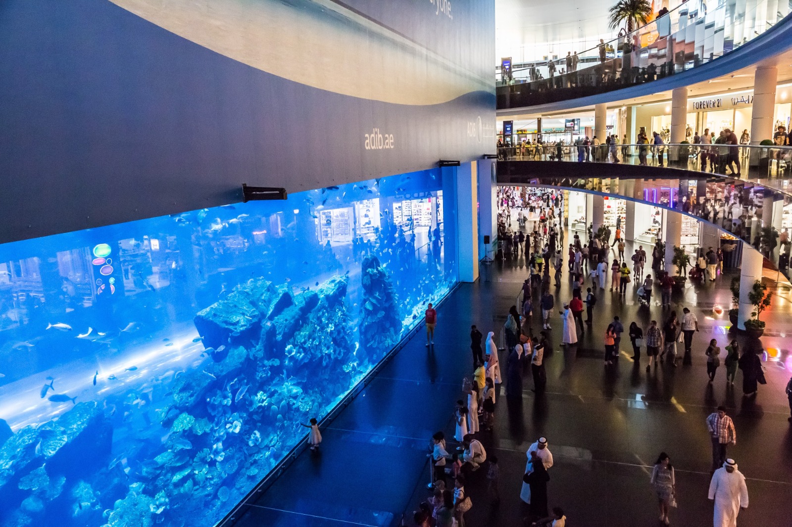 Dubai Aquarium & Underwater Zoo