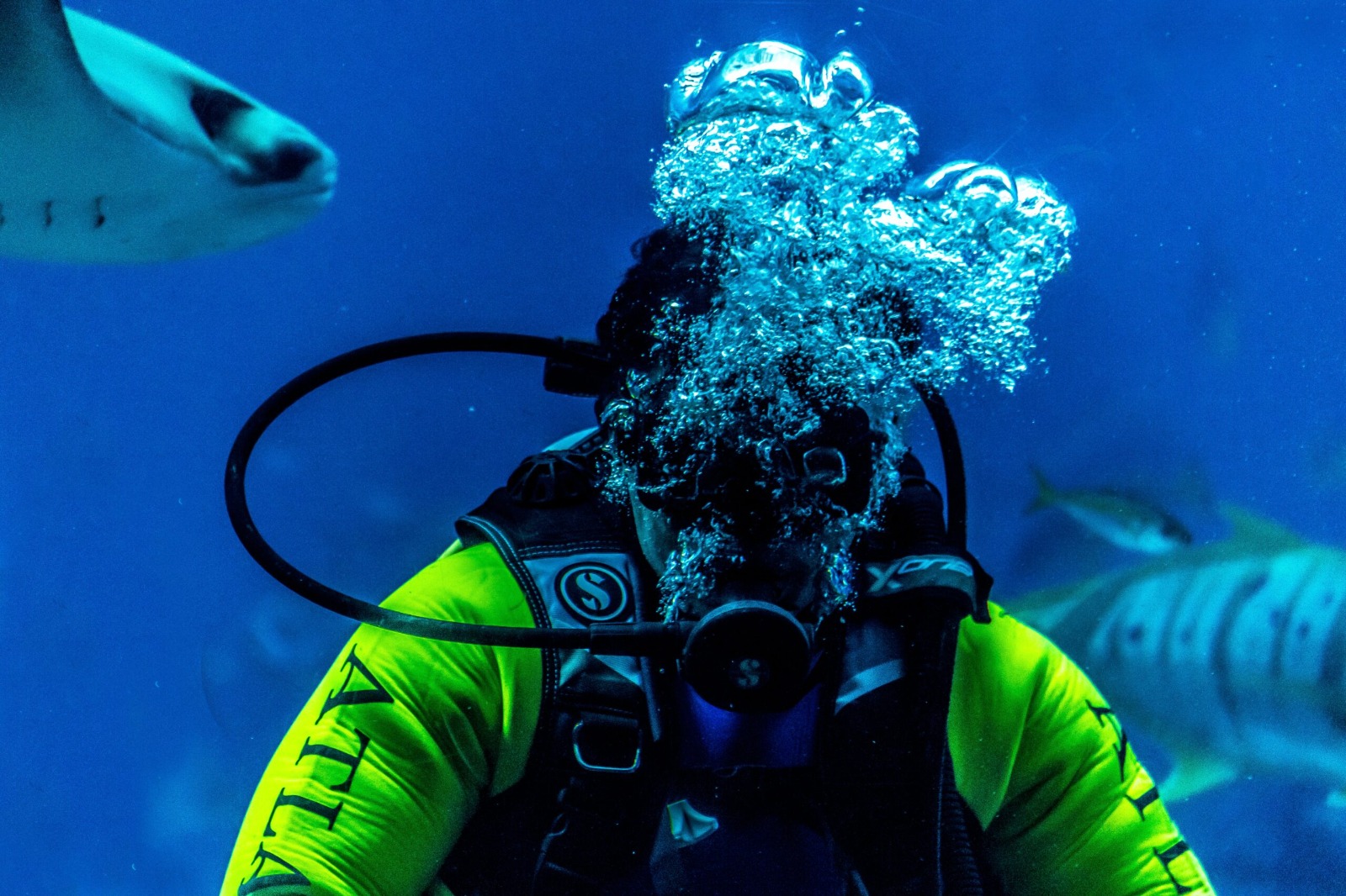 Scuba Diving Tour (2)