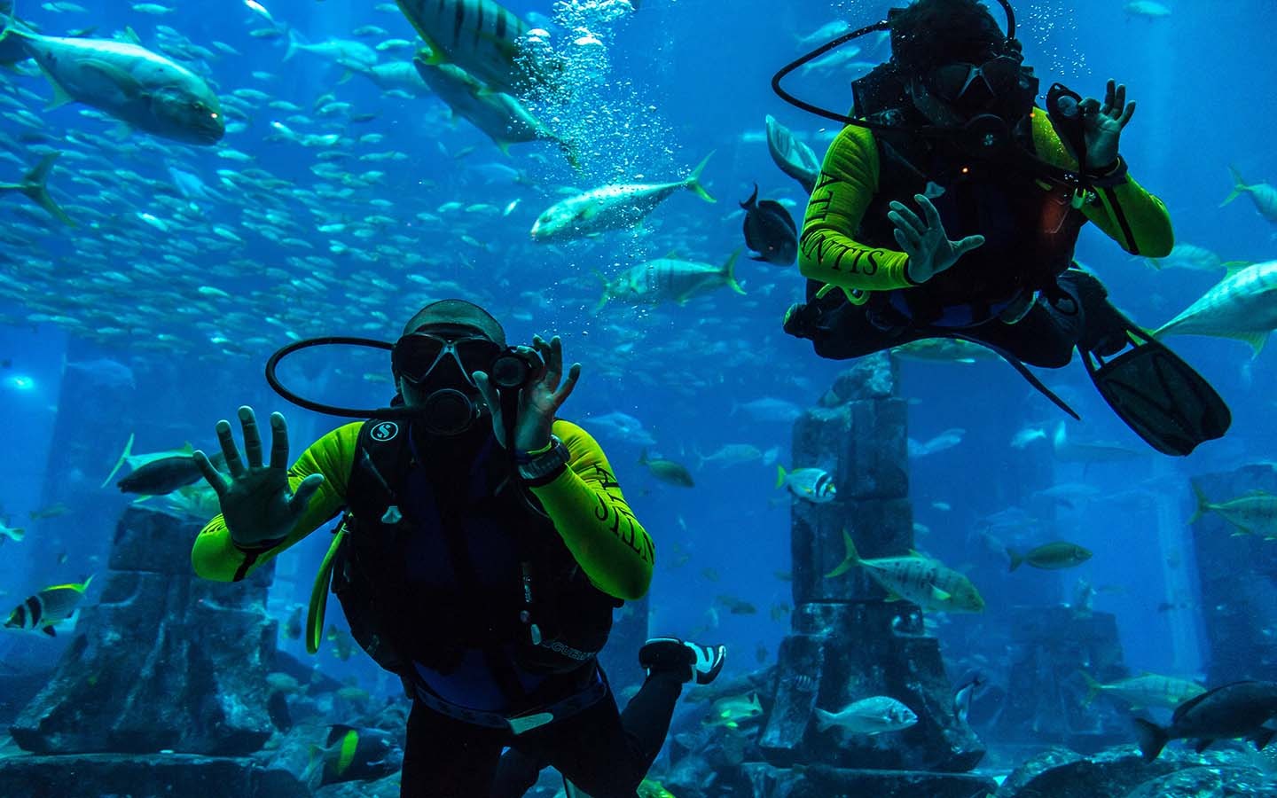 Scuba Diving Tour
