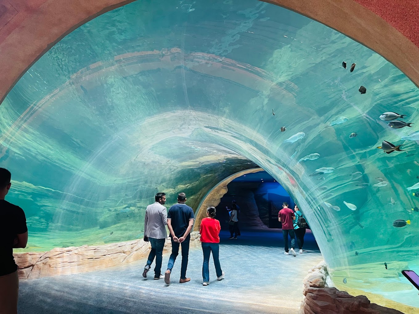 Seaworld Abu Dhabi (3)