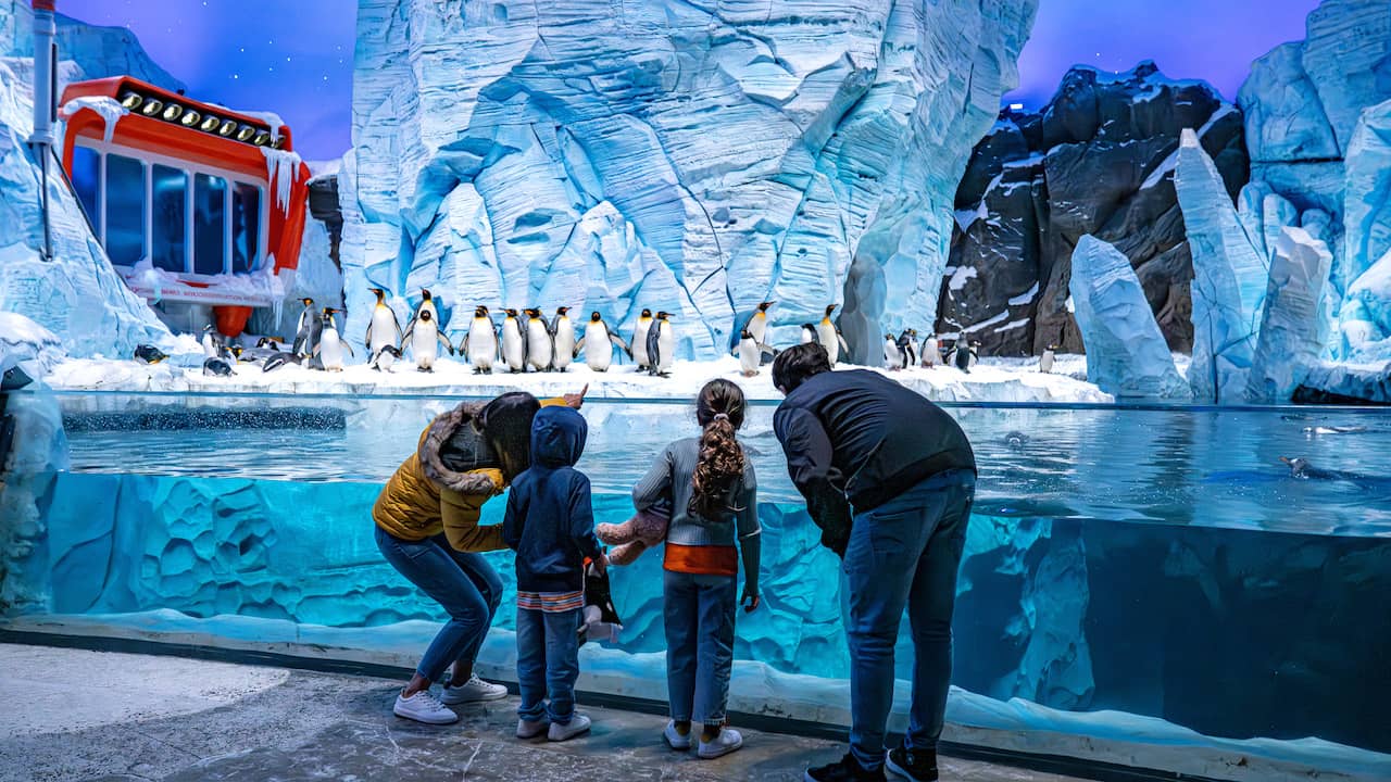 Seaworld Abu Dhabi