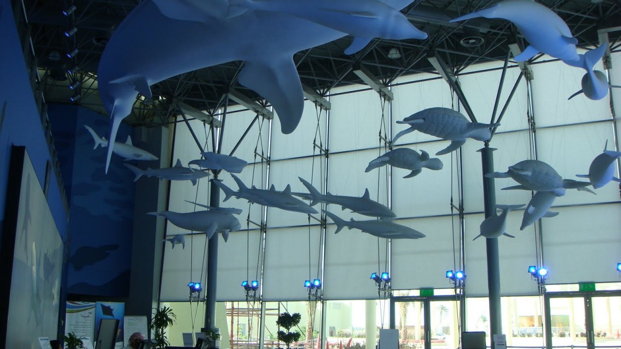 Sharjah Aquarium (2)