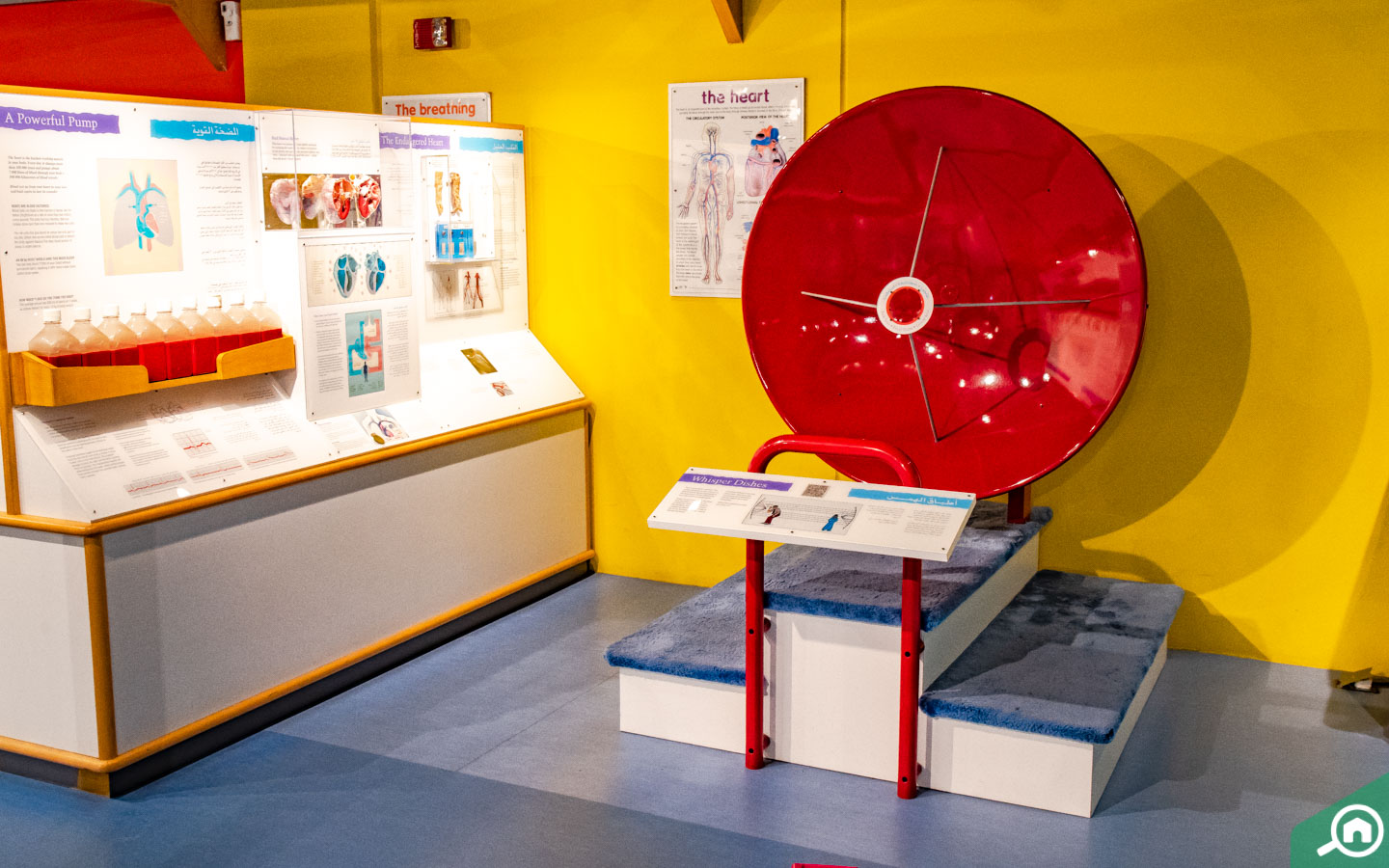 Sharjah Science Museum tour