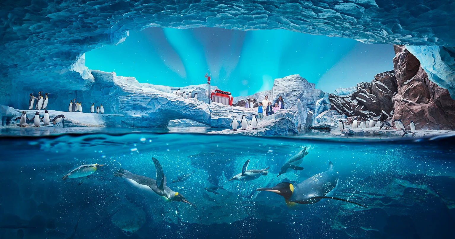 animals-at-seaworld