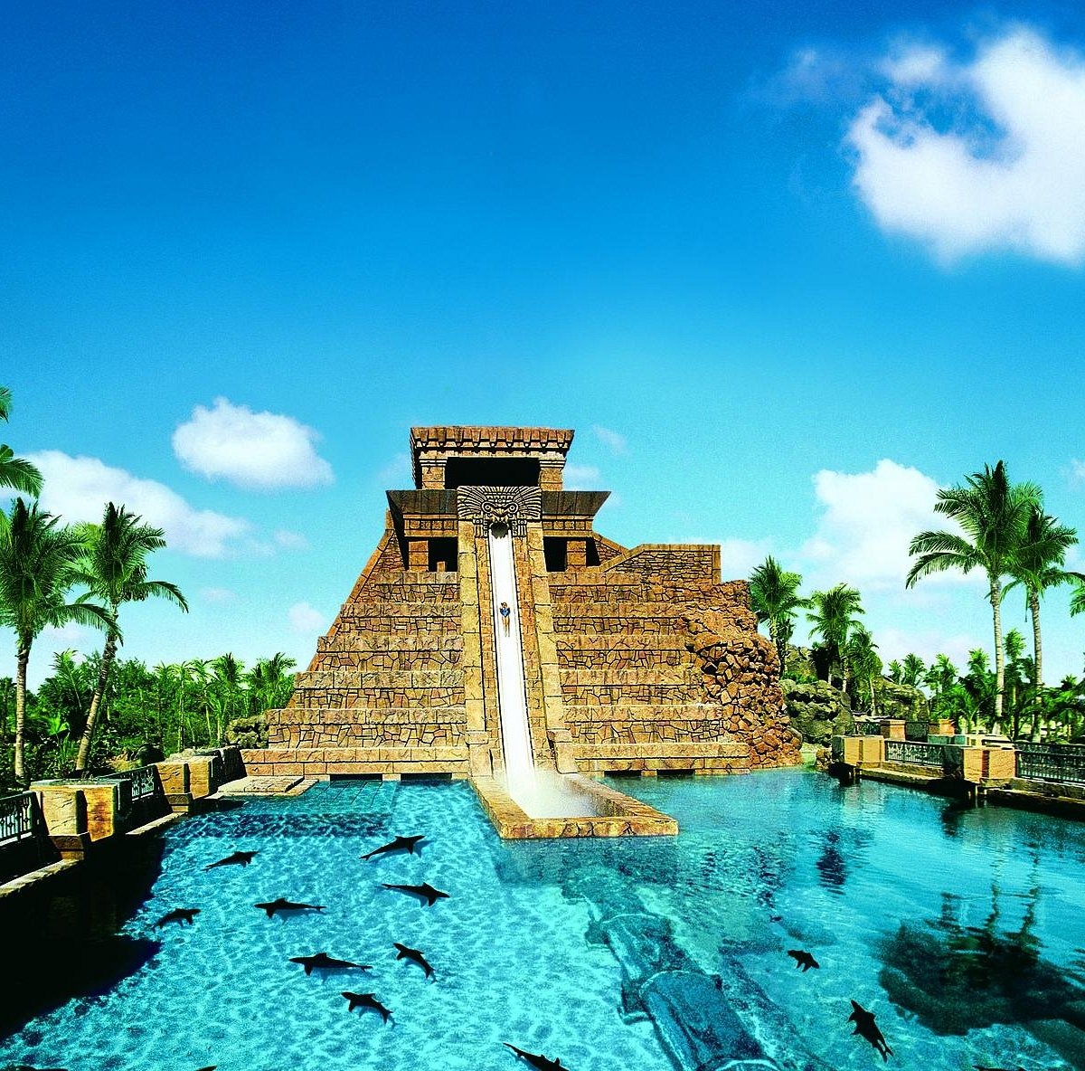 aquaventure waterpark tickets (2)