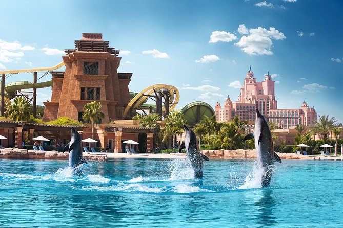 dolphin bay atlantis (2)