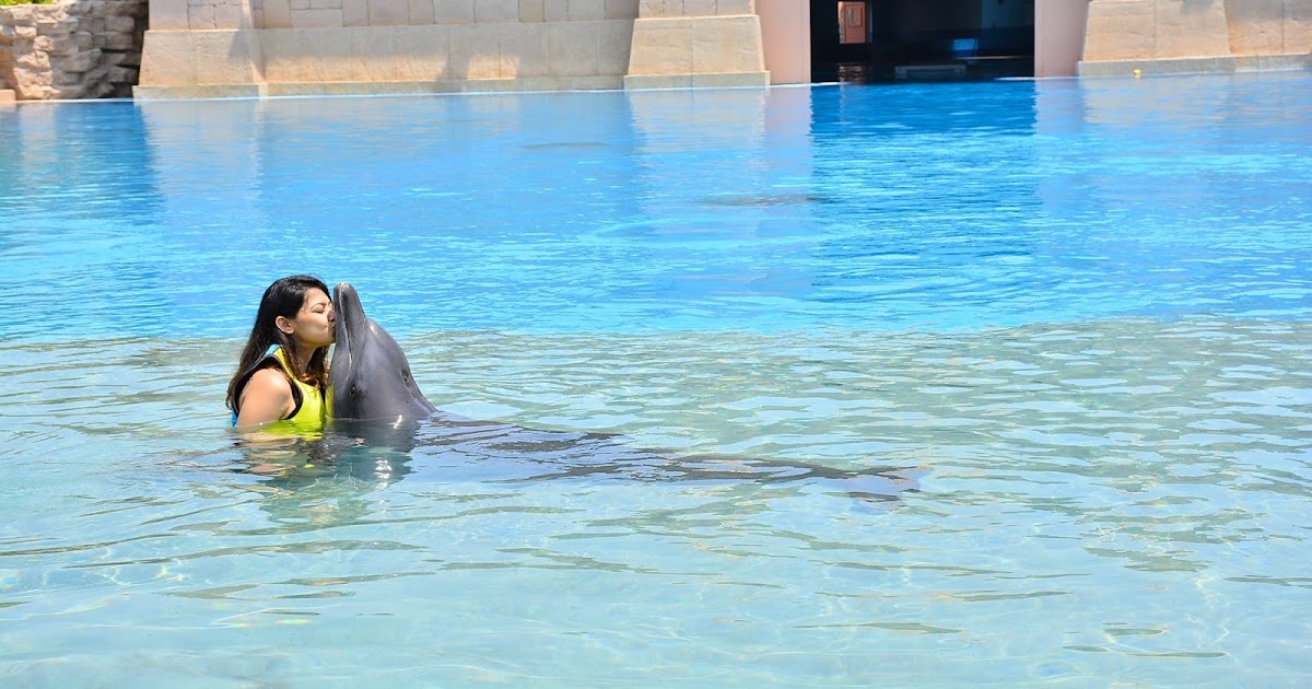 dolphin bay atlantis (3)