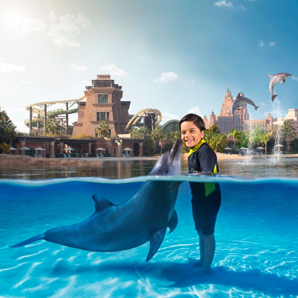 dolphin bay atlantis bahamas