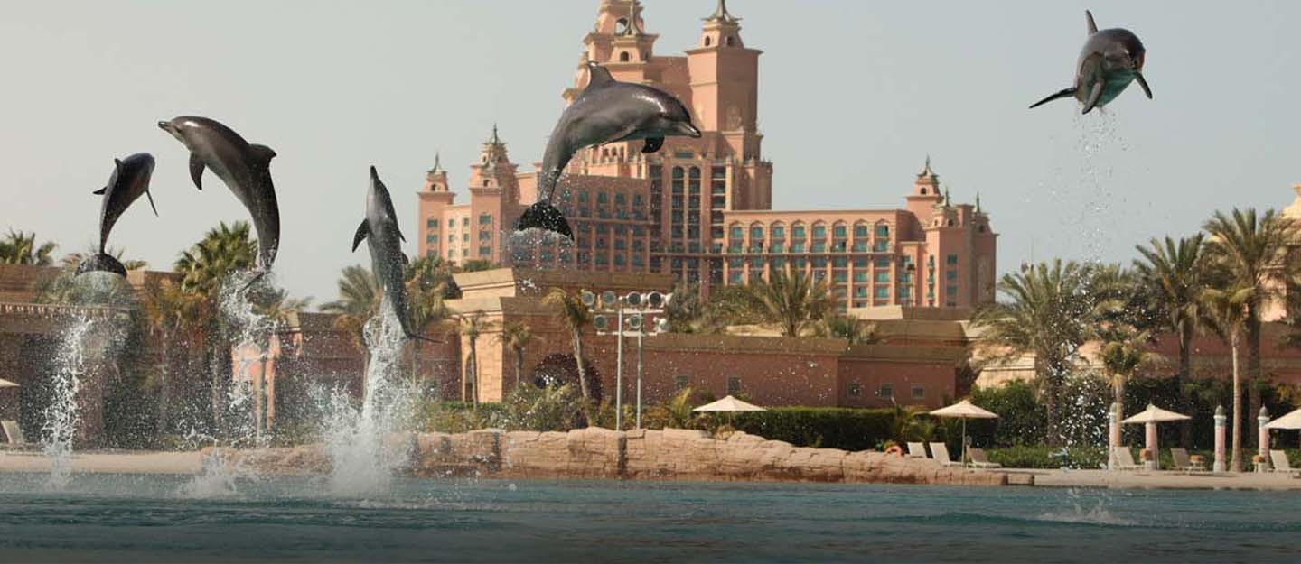 dolphin bay atlantis dubai prices