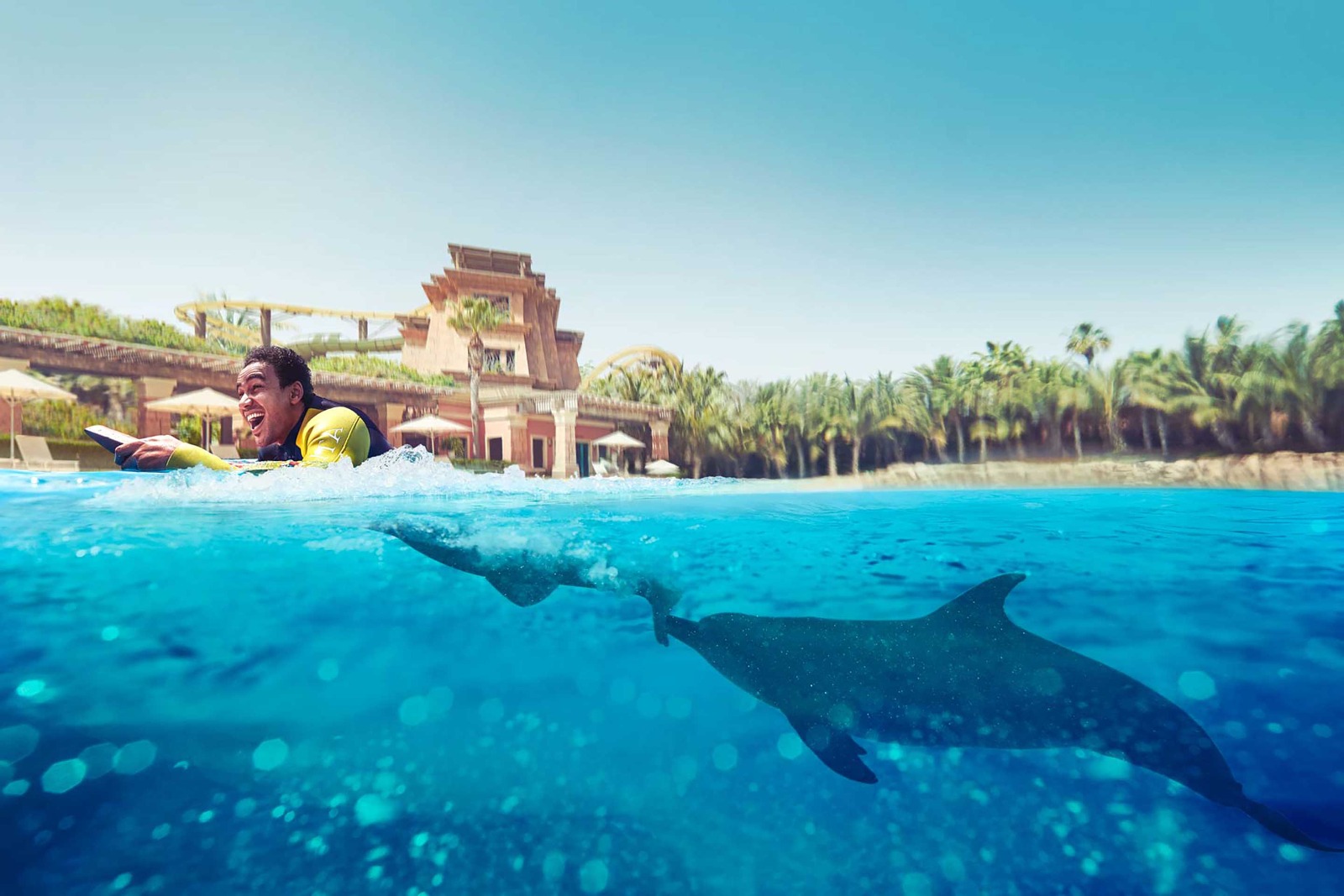 dolphin bay atlantis tickets