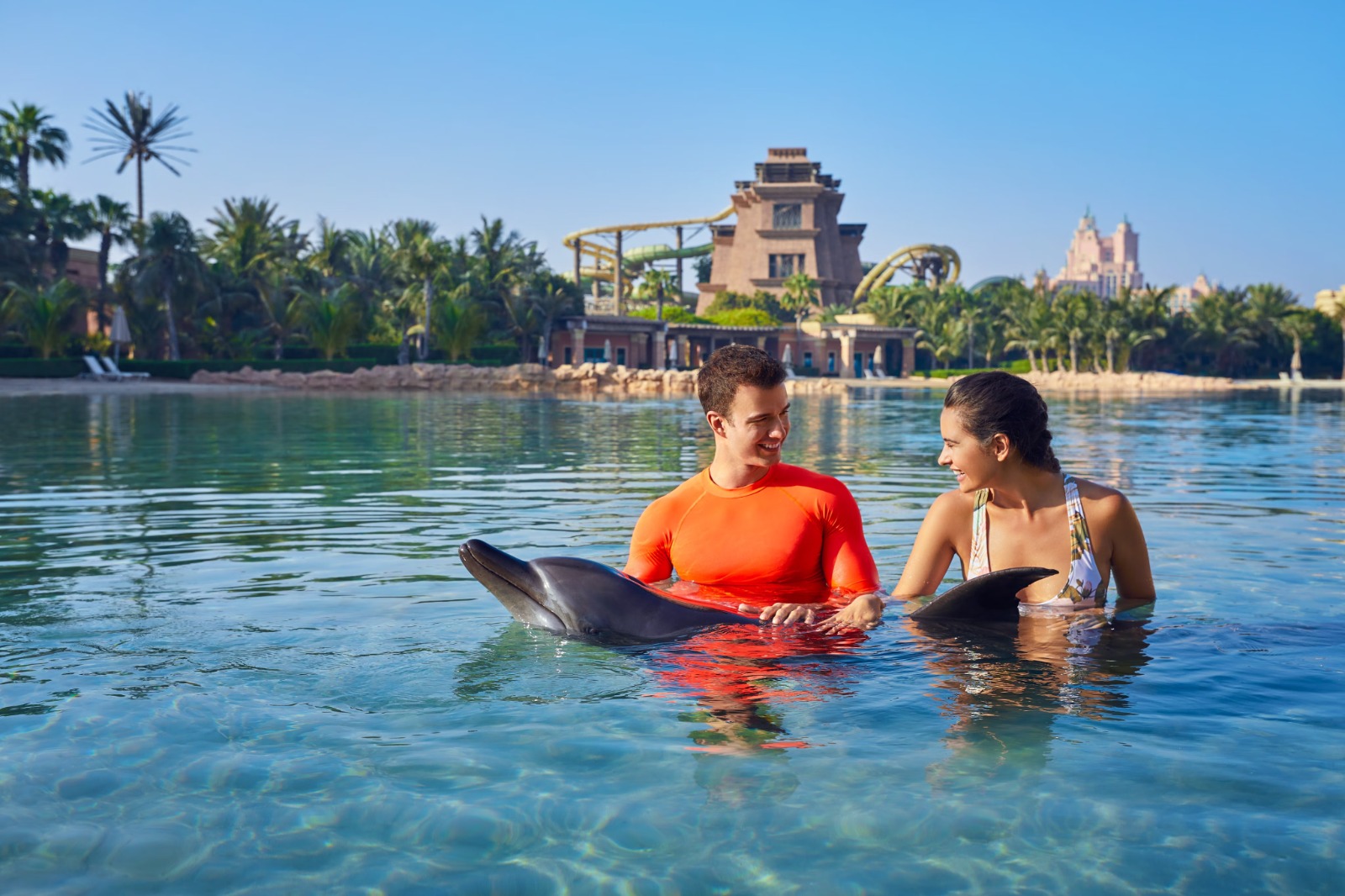 dolphin bay atlantis