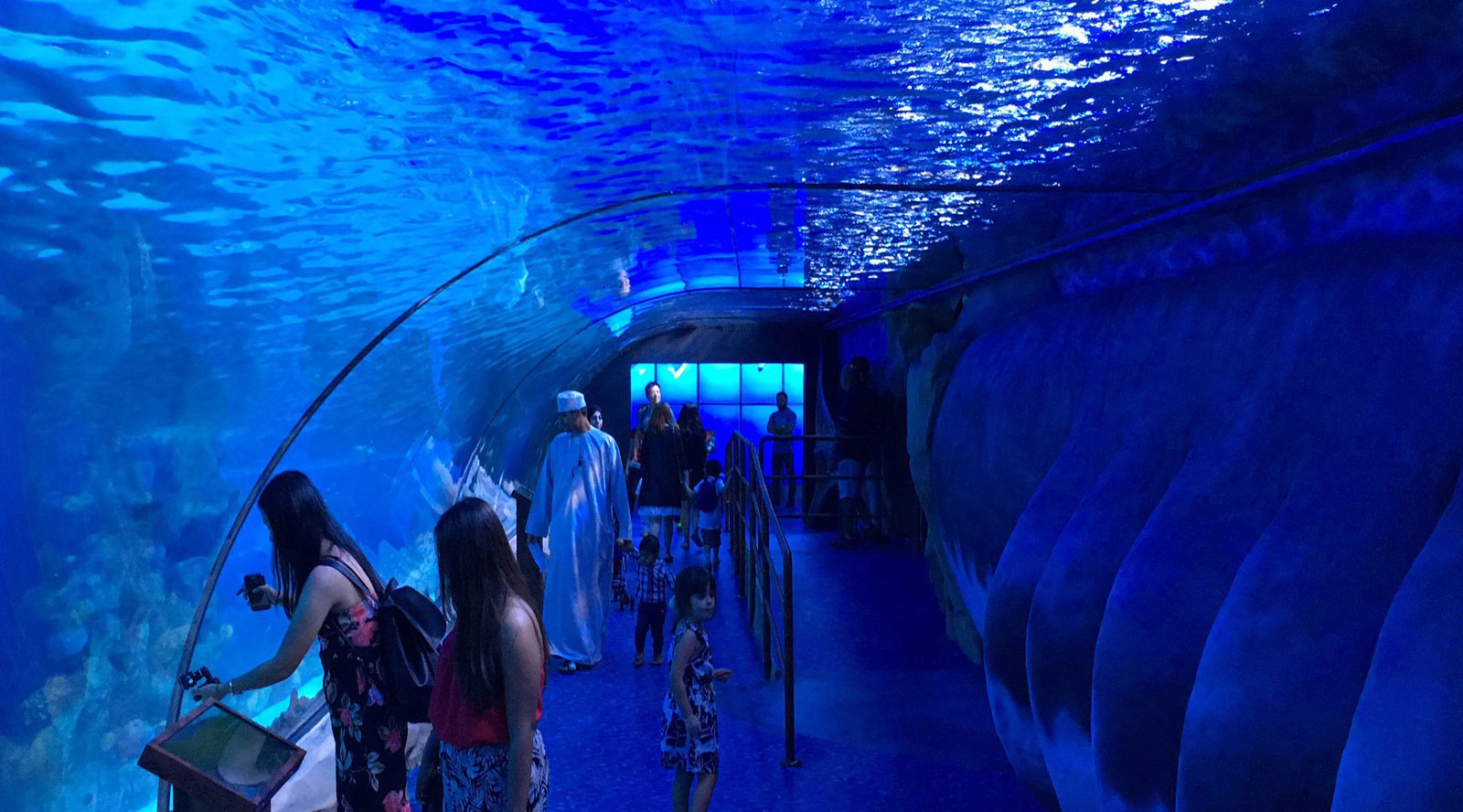 dubai aquarium & underwater zoo price