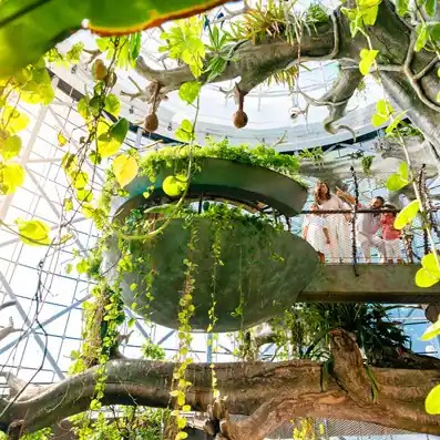 green planet