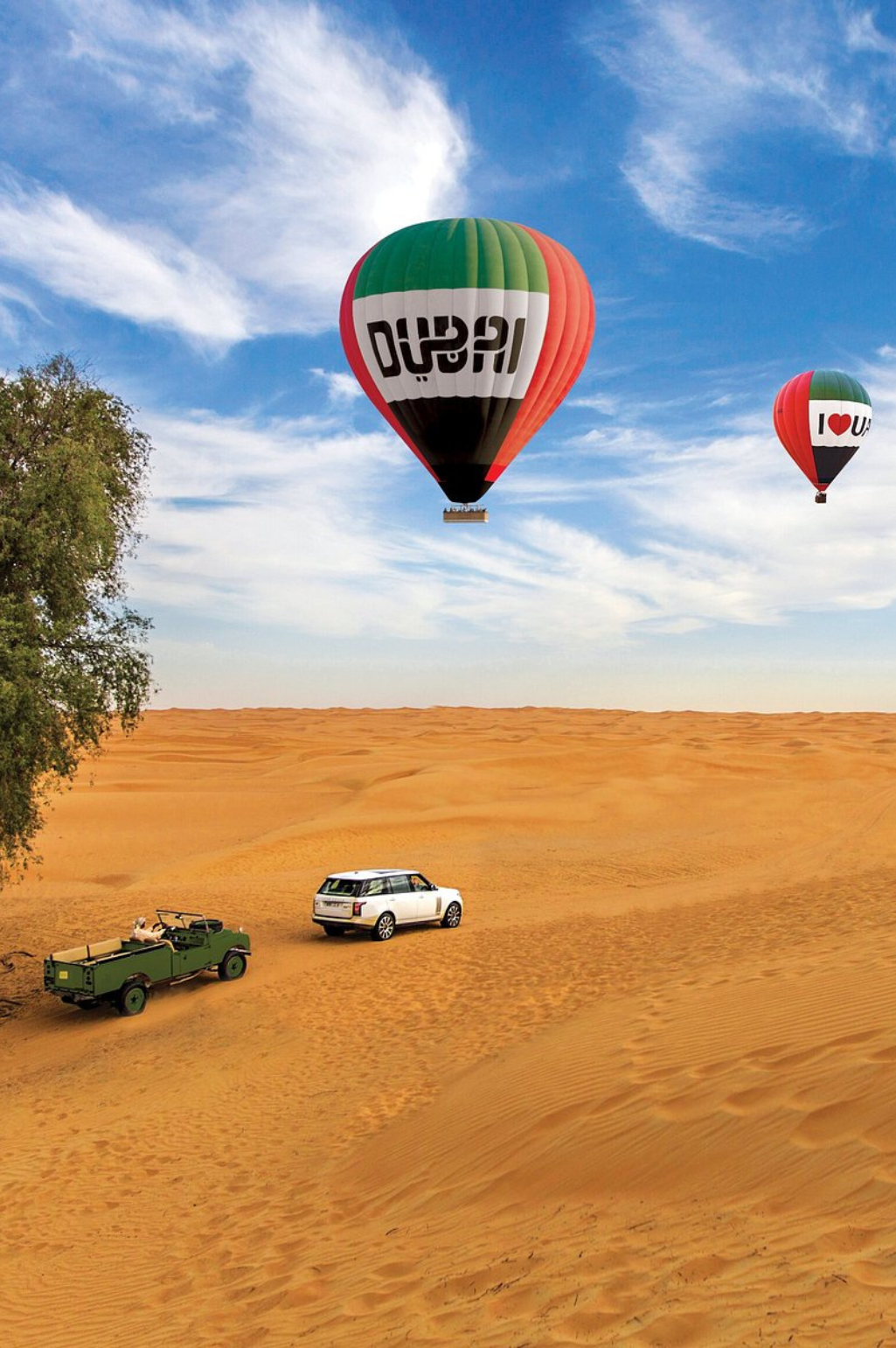 hot air balloon dubai (2)