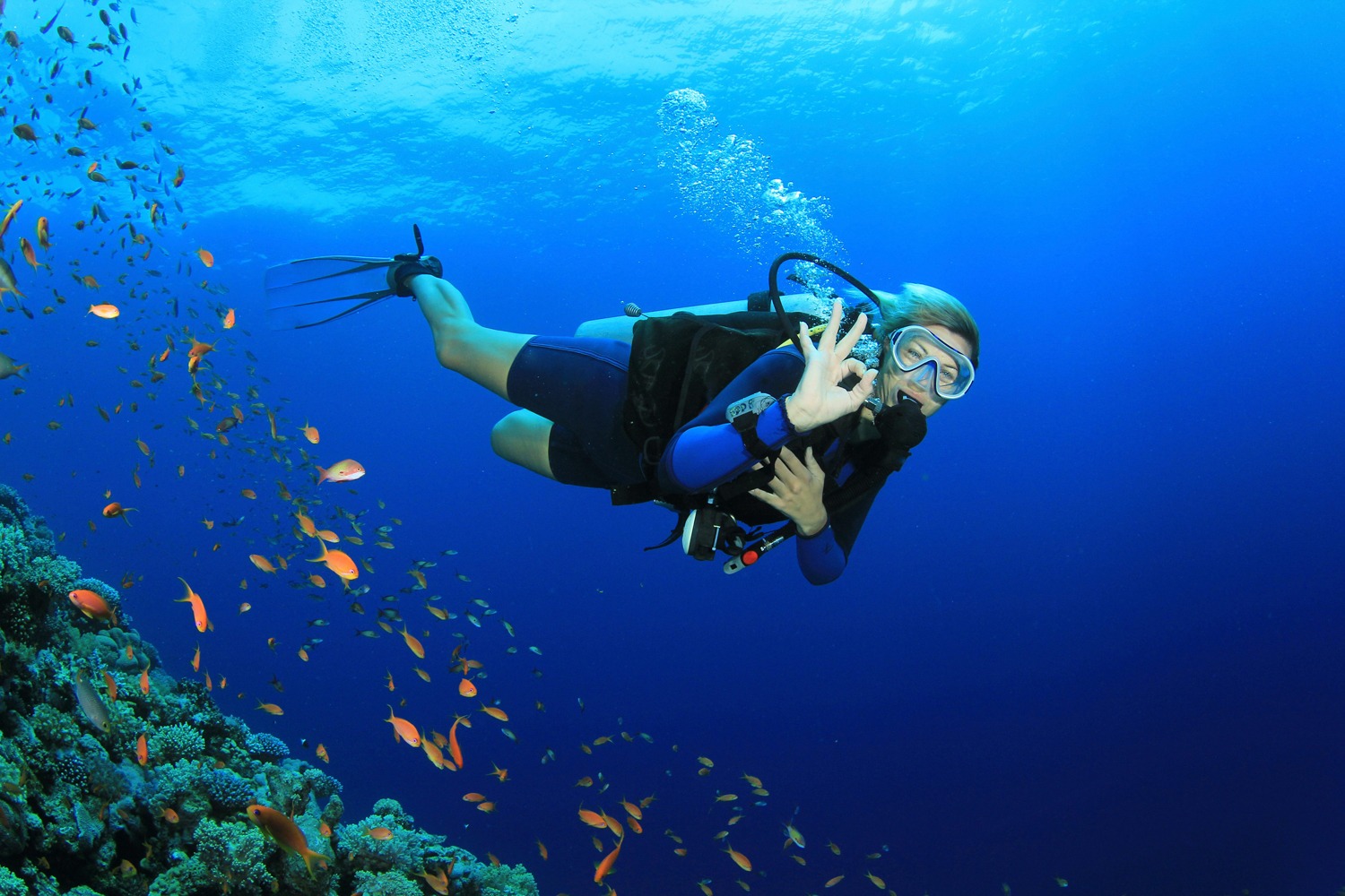 scuba diving tour dubai (4)