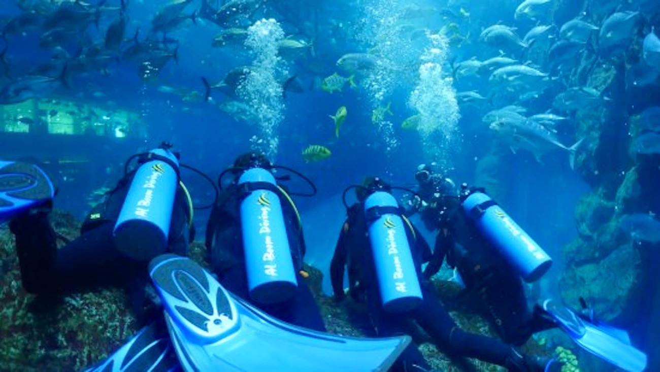 scuba diving tour dubai (5)