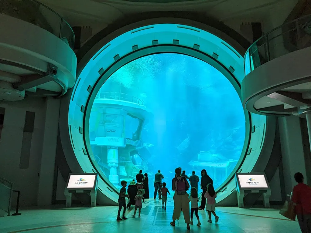 seaworld-abu-dhabi-largest-aquarium-of-the-world
