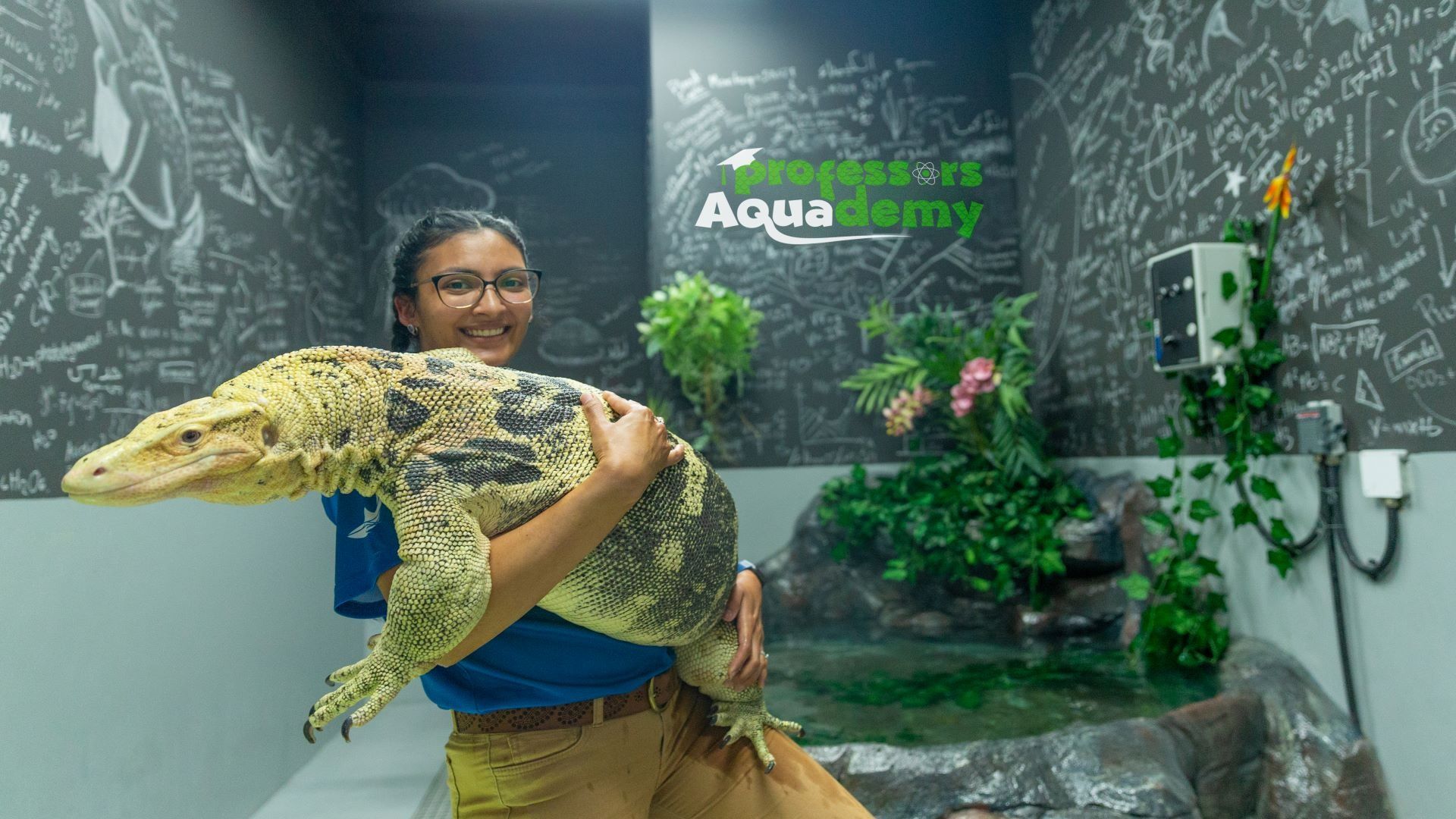 the national aquarium abu dhabi tickets price