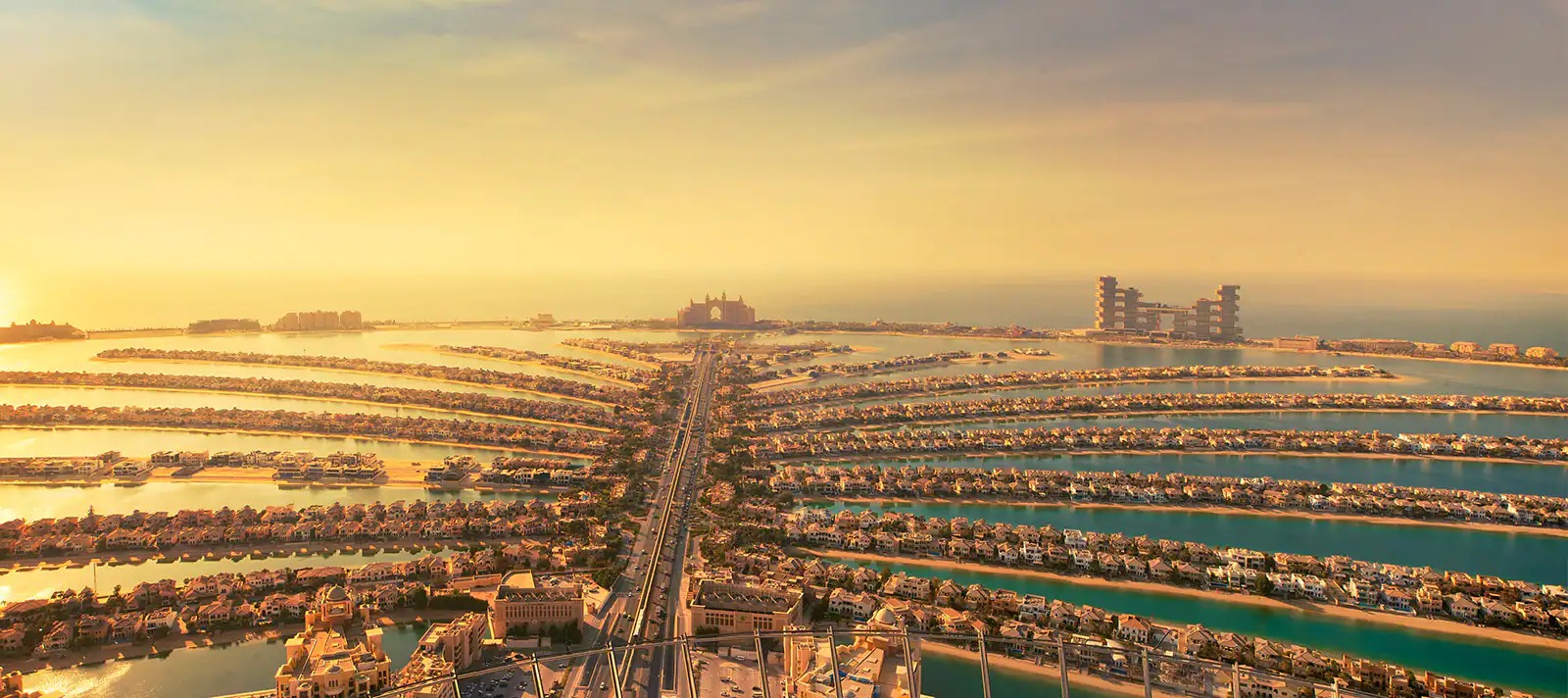 the view at the palm timings (2)