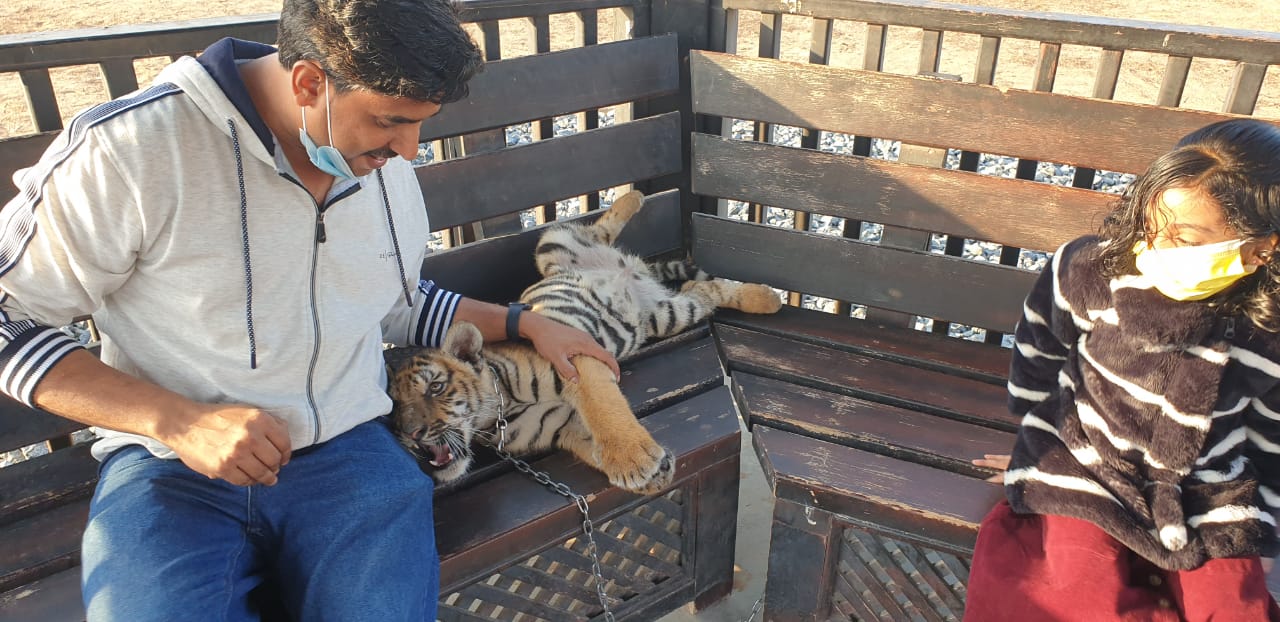 umm al quwain zoo